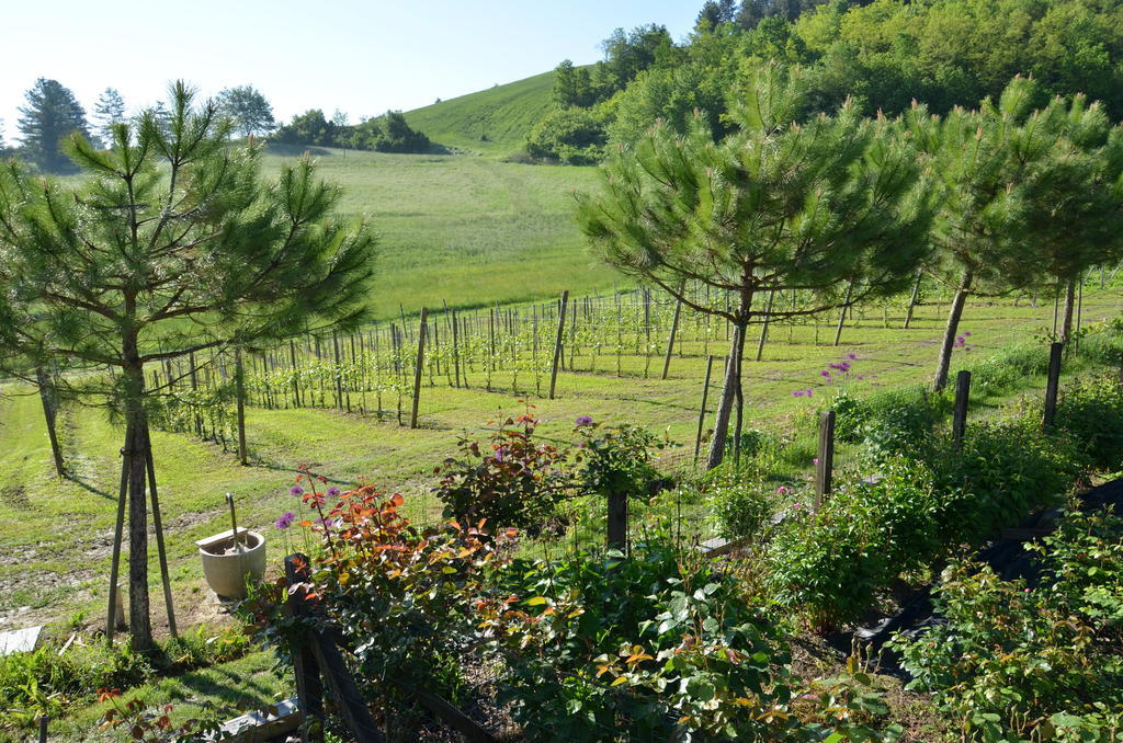 Cascina Castagneto 호텔 CastellʼAlfero 외부 사진