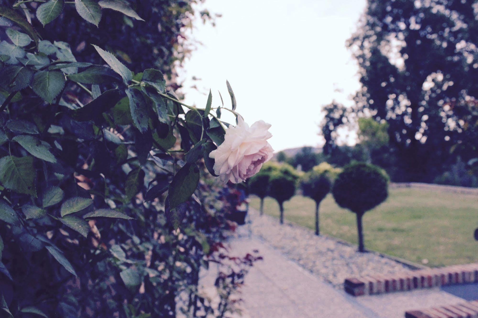 Cascina Castagneto 호텔 CastellʼAlfero 외부 사진